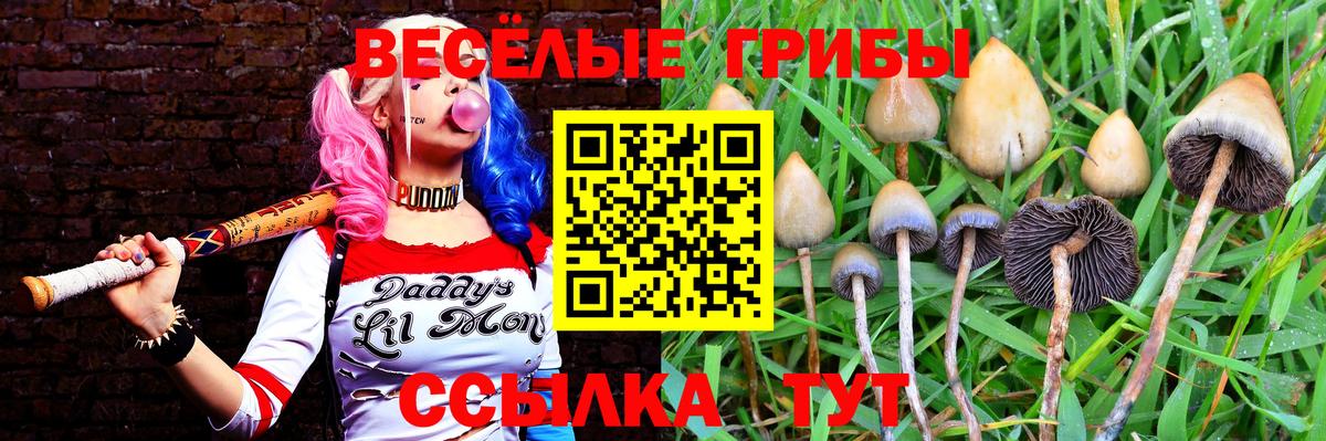 Галлюциногенные грибы GOLDEN TEACHER  Галлюциногенные грибы прущие грибы  Десногорск  Вход с VPN 